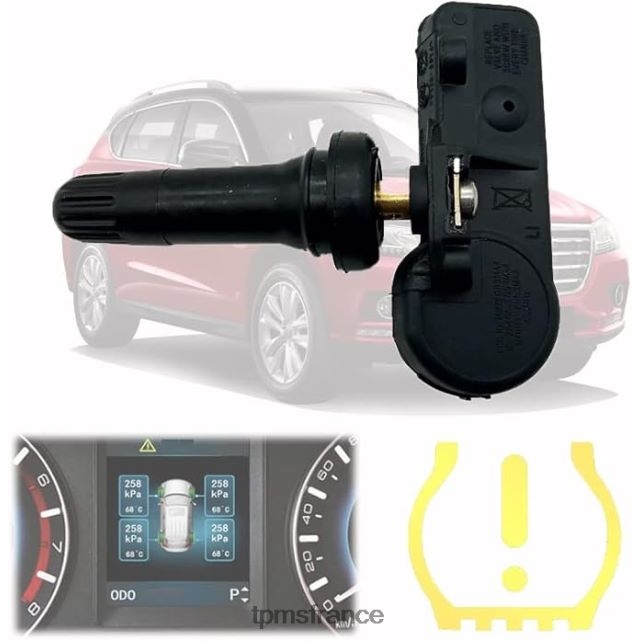 Capteur De Pression Des Pneus TPMS - tpms haval/gwm le capteur de pression 3641100xku00a 433mhz 4F00J21692